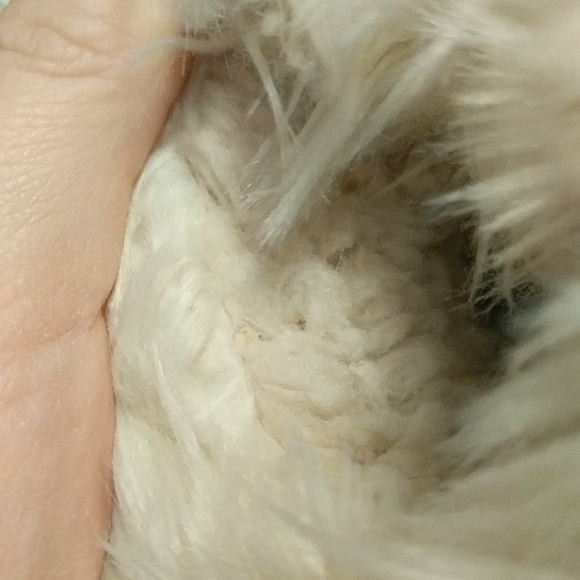 Slippers - Picture 6 of 6